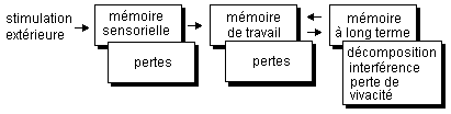 activation de la m&eacute;moire